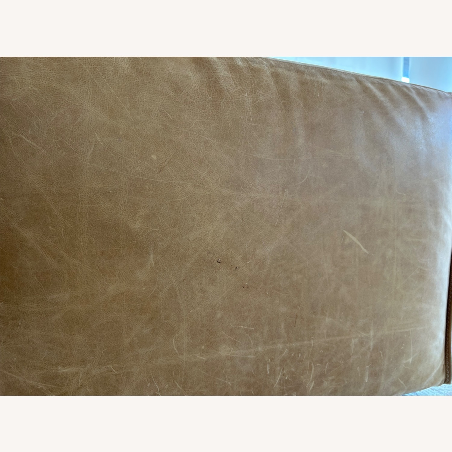 Blue Dot Cleon 76" Leather Sofa - image-9