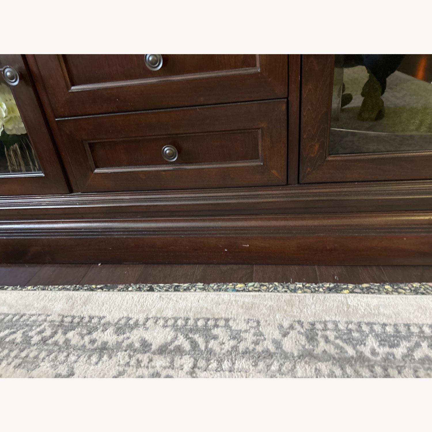 Basset Media Center - image-5