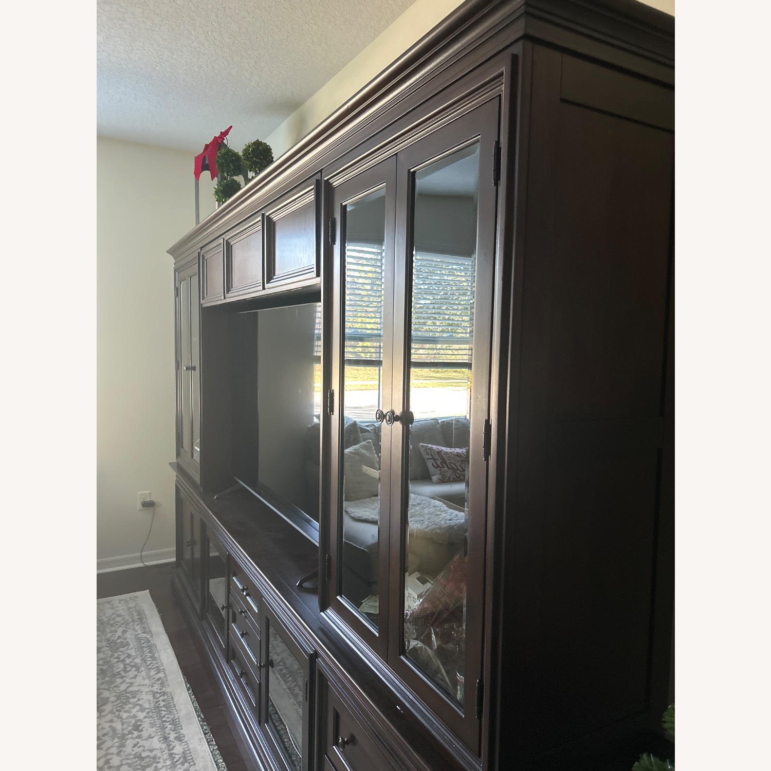 Basset Media Center - image-3