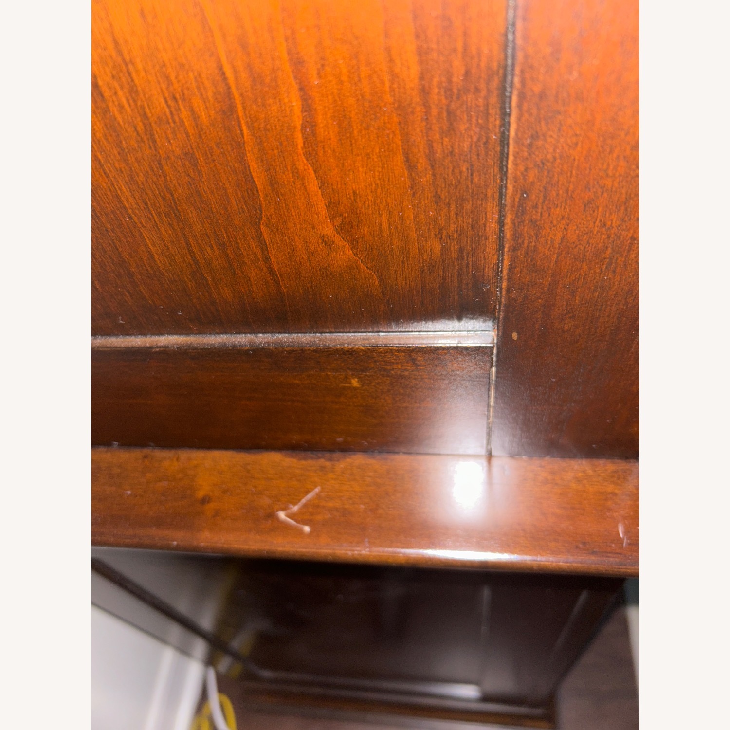 Basset Media Center - image-4