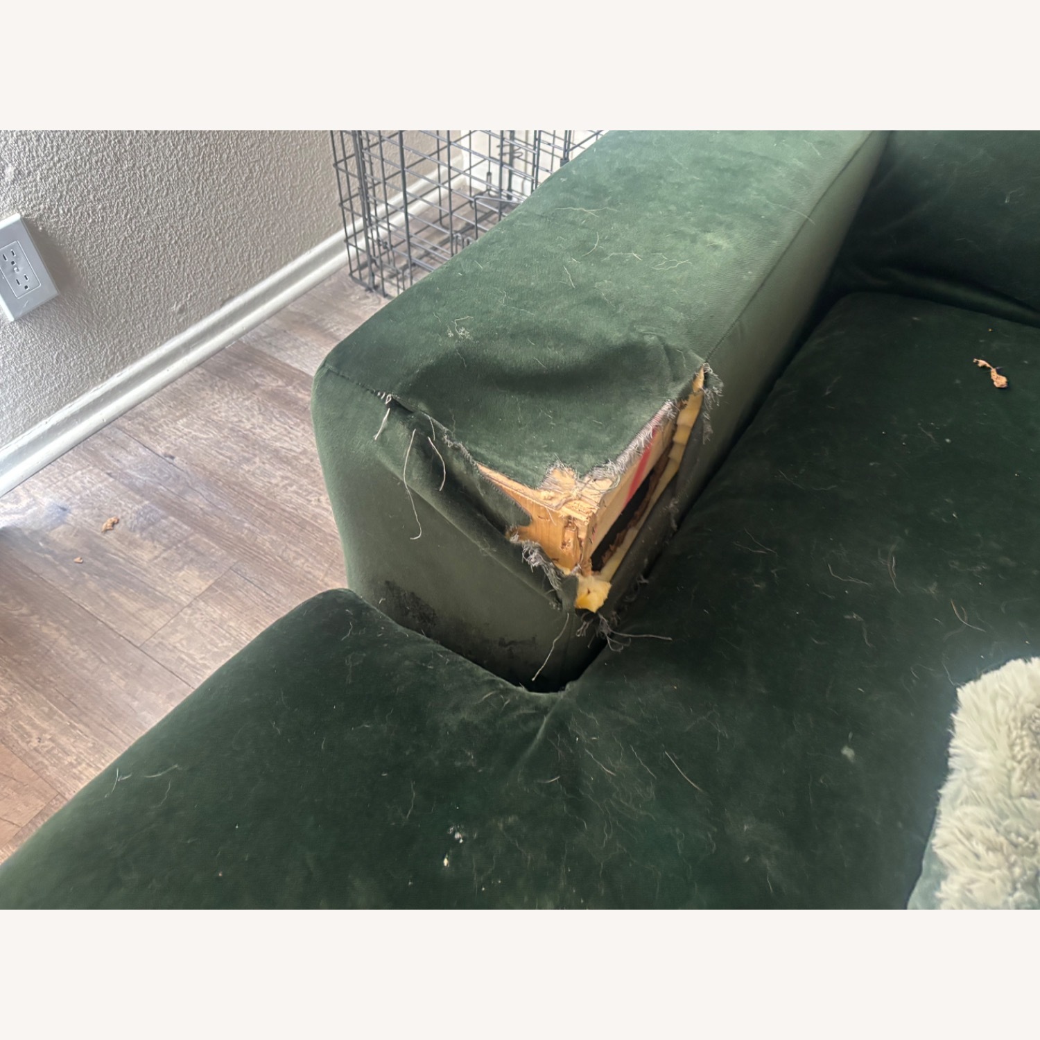 Anthropologie Green Wood Chaise Lounge - image-2