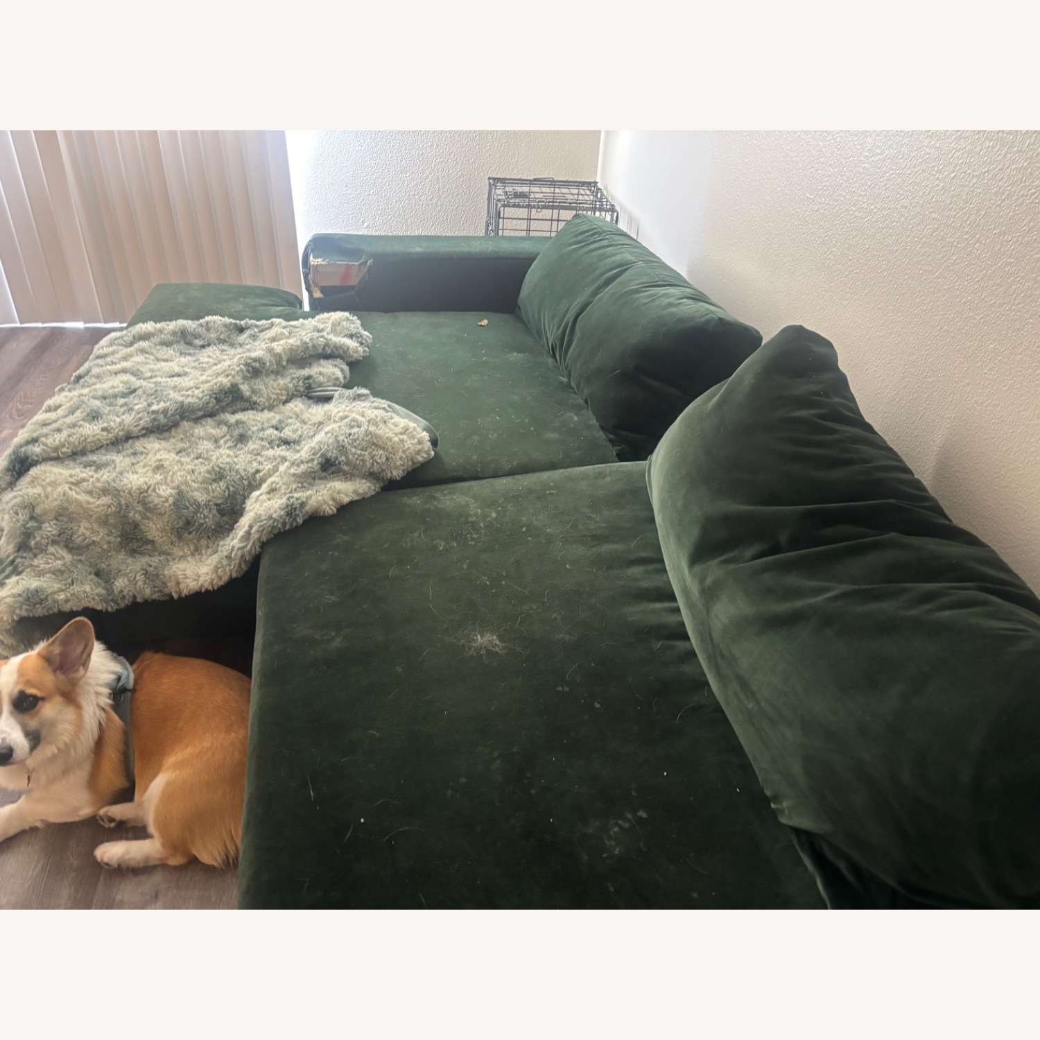 Anthropologie Green Wood Chaise Lounge - image-4