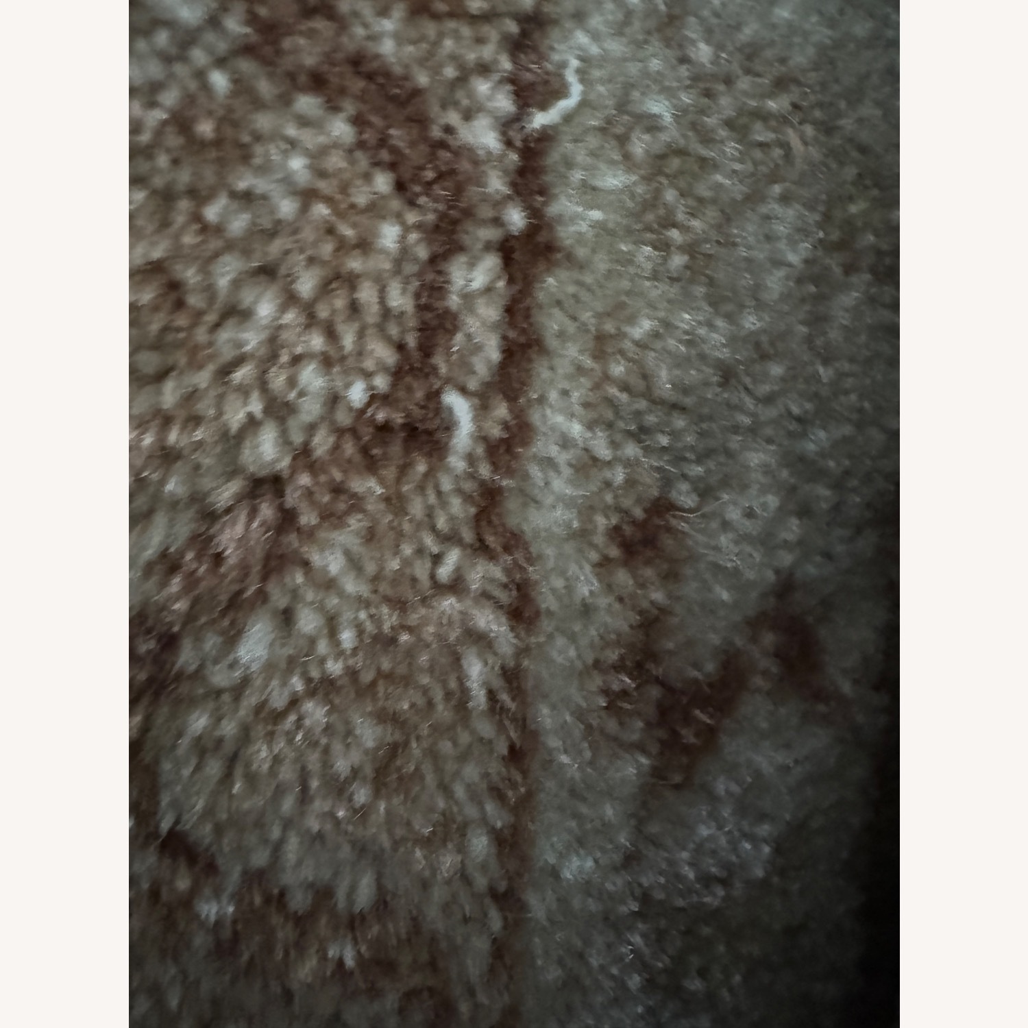 Natural Wool Area Rug 9' x 12' - image-7