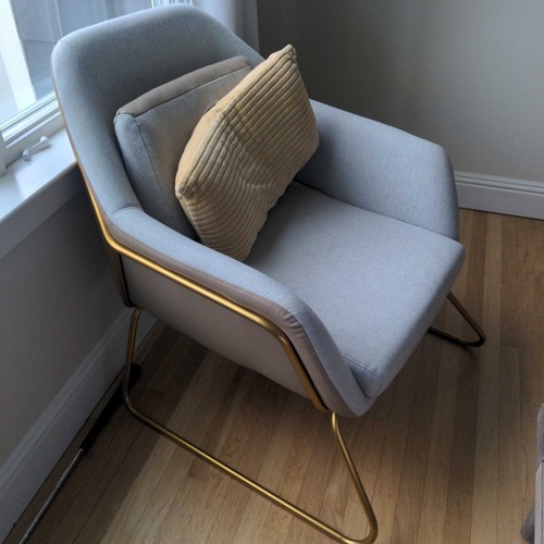 Used Modern Lounge Chair with Gold Metal Frame for sale on AptDeco