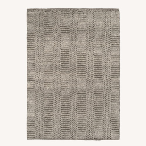 Used Savannah Area Rug 6' x 9' for sale on AptDeco