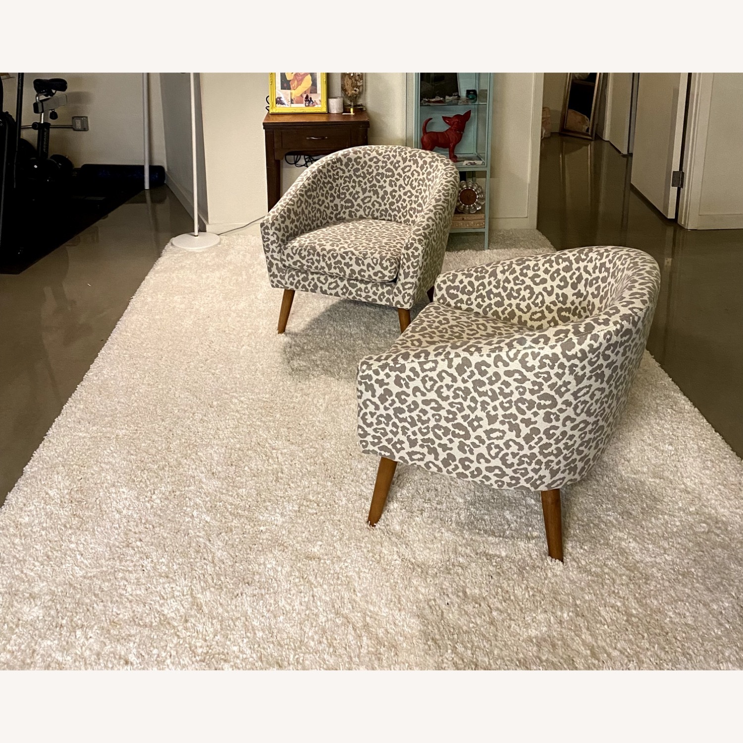 Leopard / Barrel Accent Chairs (2) - image-1