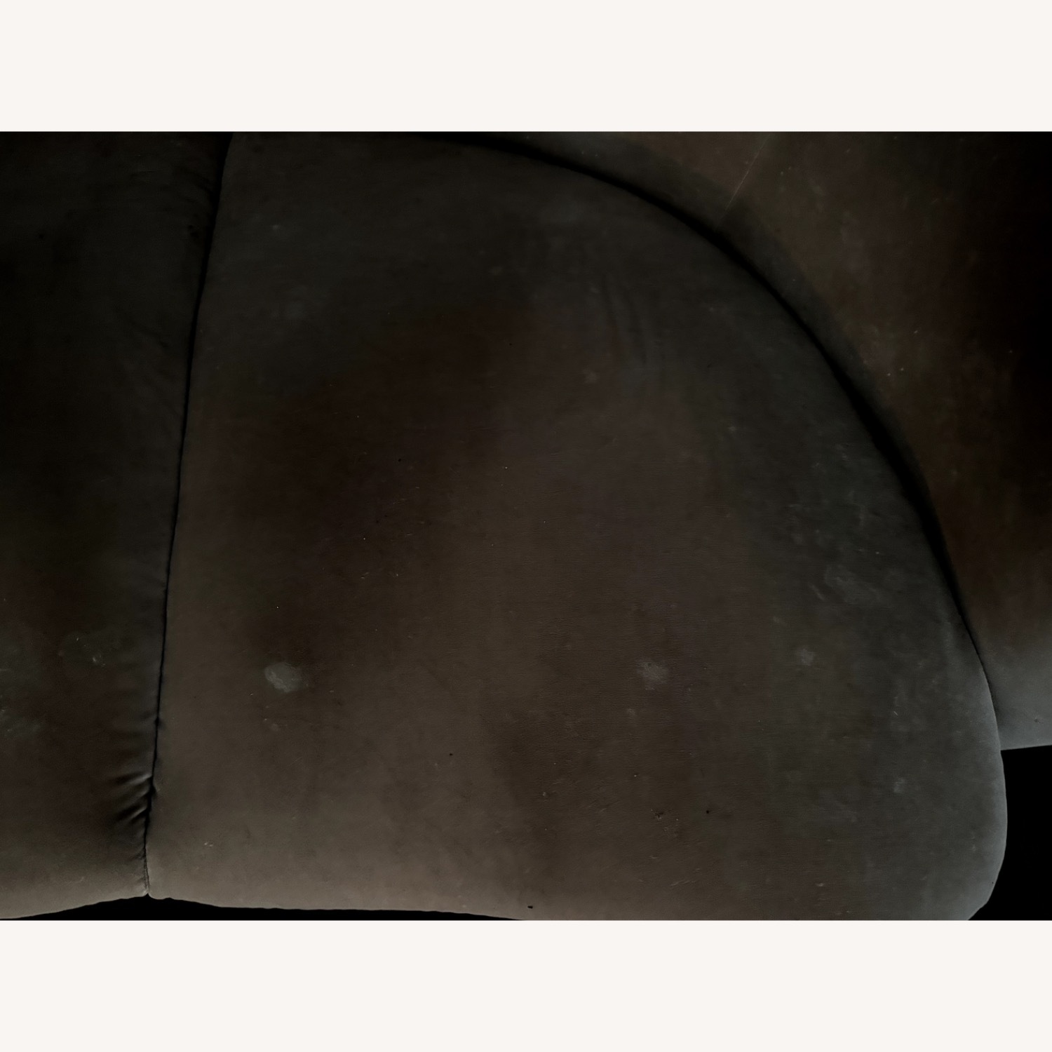 CB2 Camel Velvet Curved Sofas - image-4