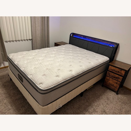Used Dark Brown Queen Bed for sale on AptDeco
