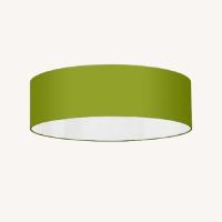 Taylor Made Custom Furniture Green Ceiling Lamp