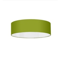 Taylor Made Custom Furniture Green Ceiling Lamp