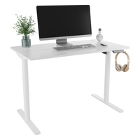 White Wood Desk