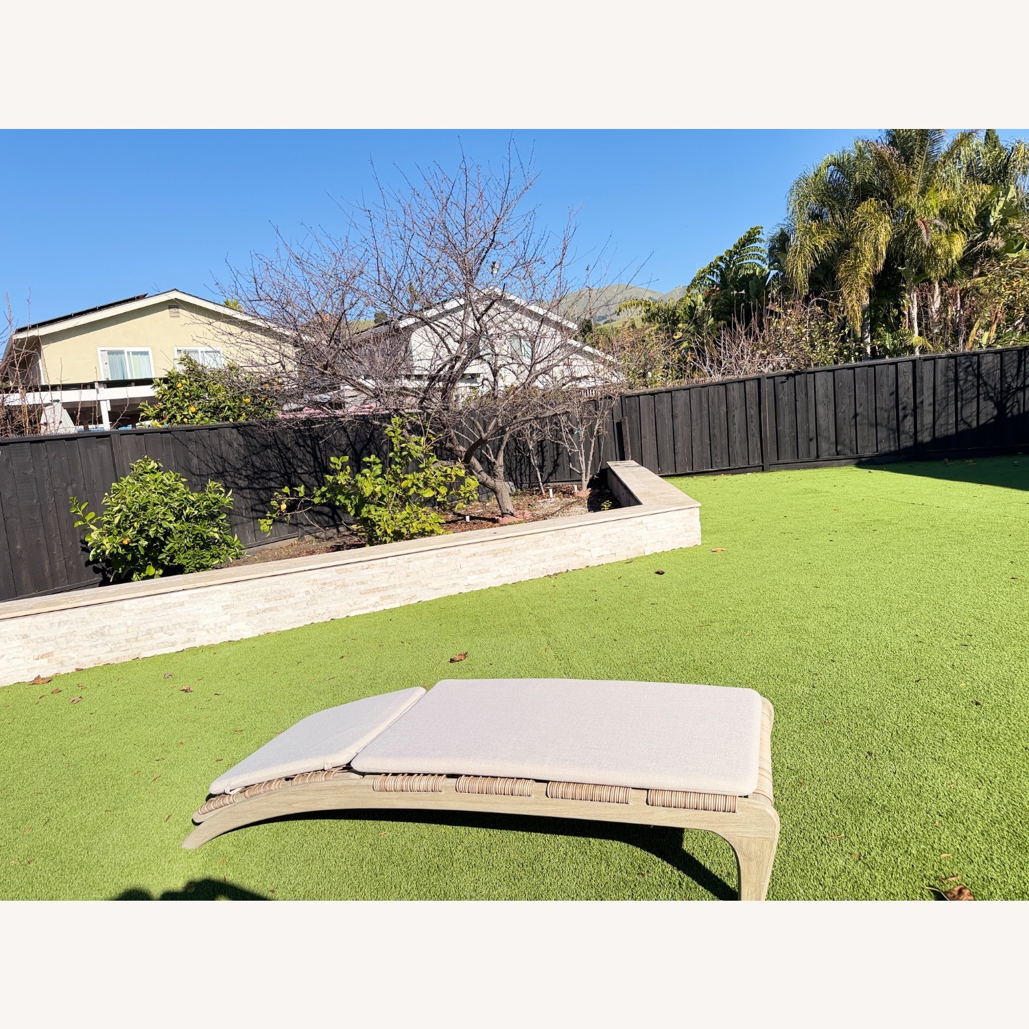 CB2 Lodi Outdoor Chaise Lounge - image-9