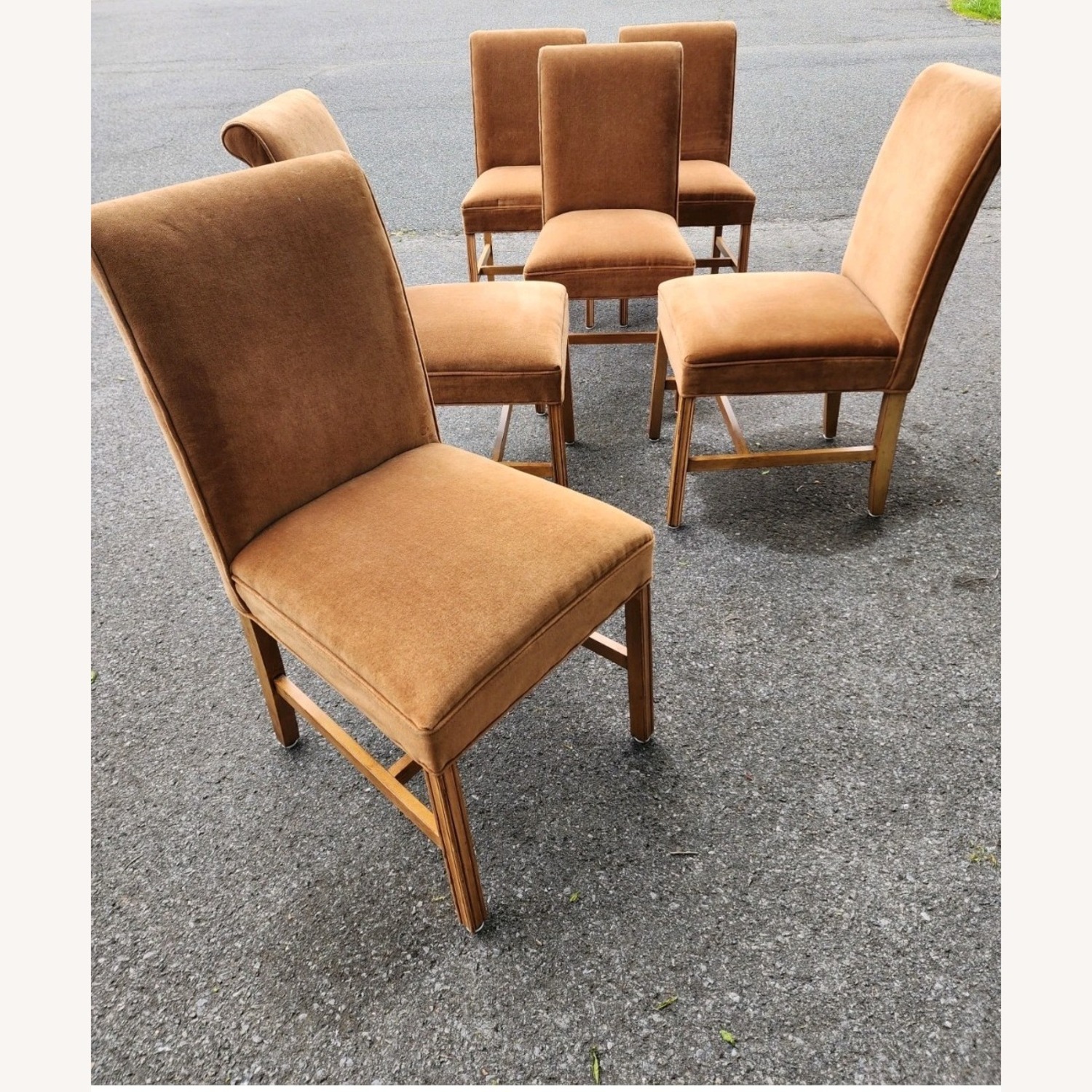 Milo Baughman Dining Chairs  - image-7