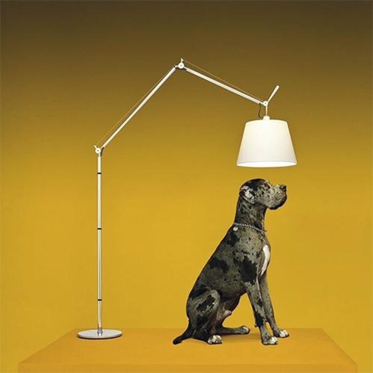 Artemide Tolomeo Silver Metal Floor Lamp - AptDeco