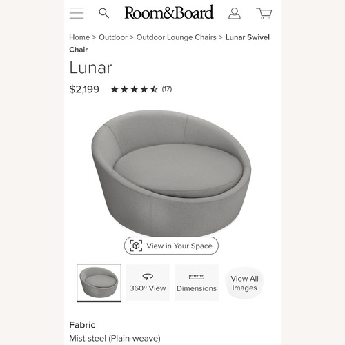 Used Room and Board  Swivel Chair for sale on AptDeco