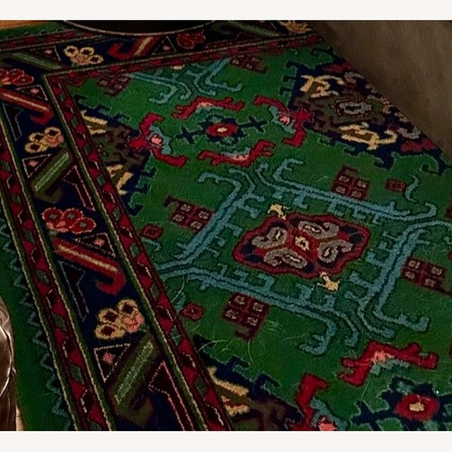 Used Green Area Rug 8' x 11.5' for sale on AptDeco