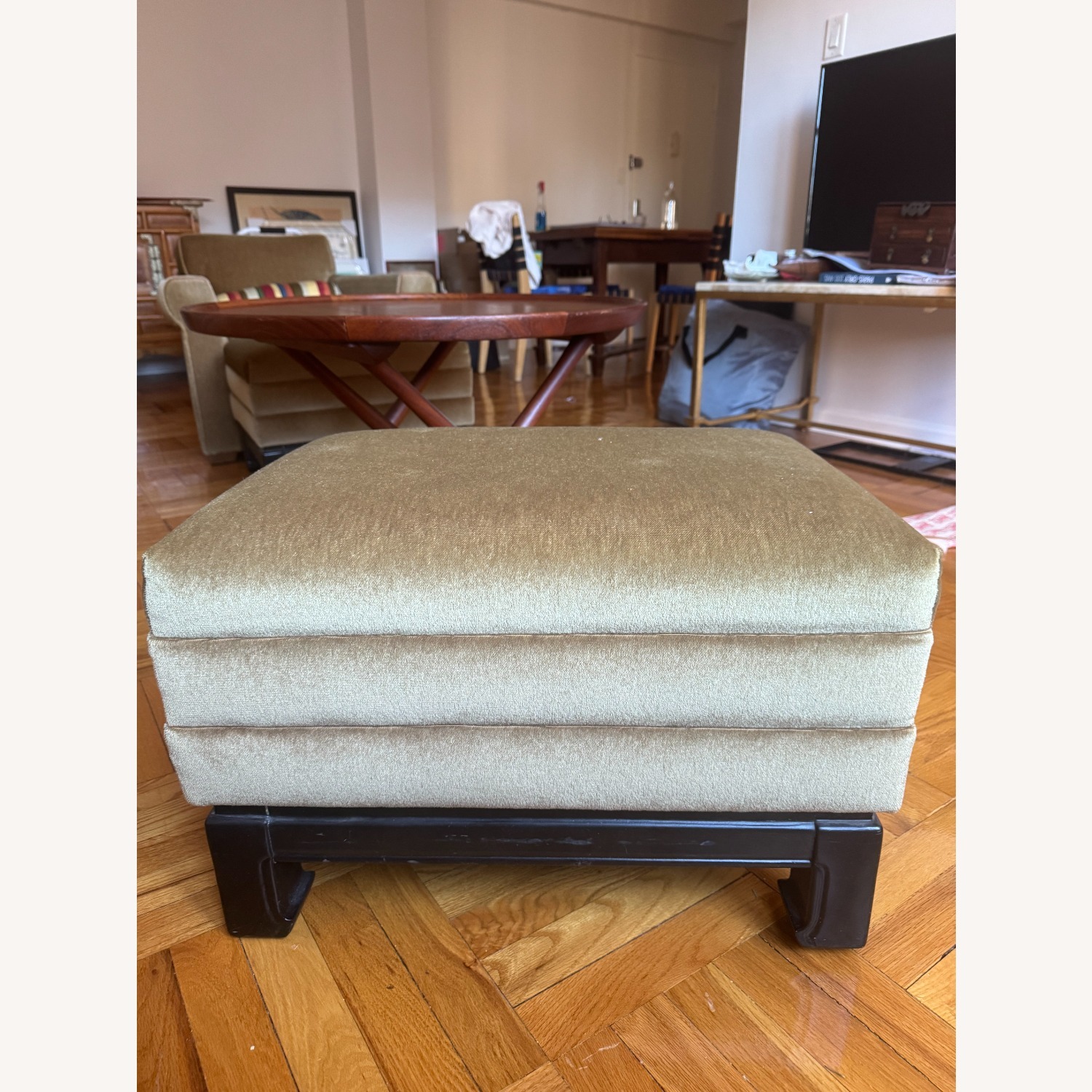 Velvet Mohair Ottoman - image-4