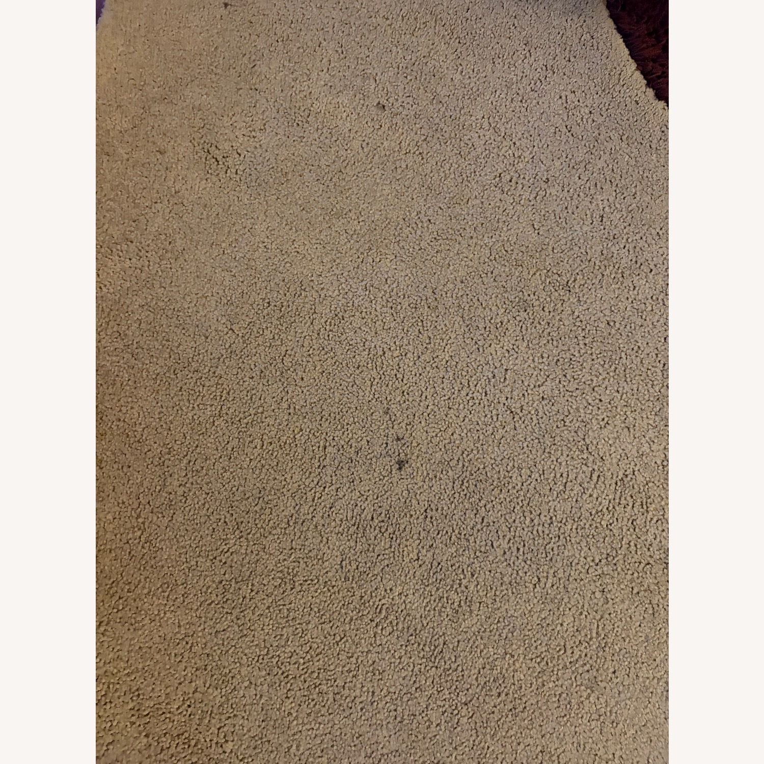 Custom Area Rug  - image-8