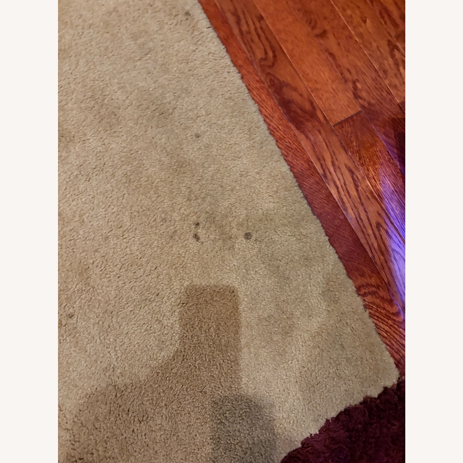 Custom Area Rug  - image-3