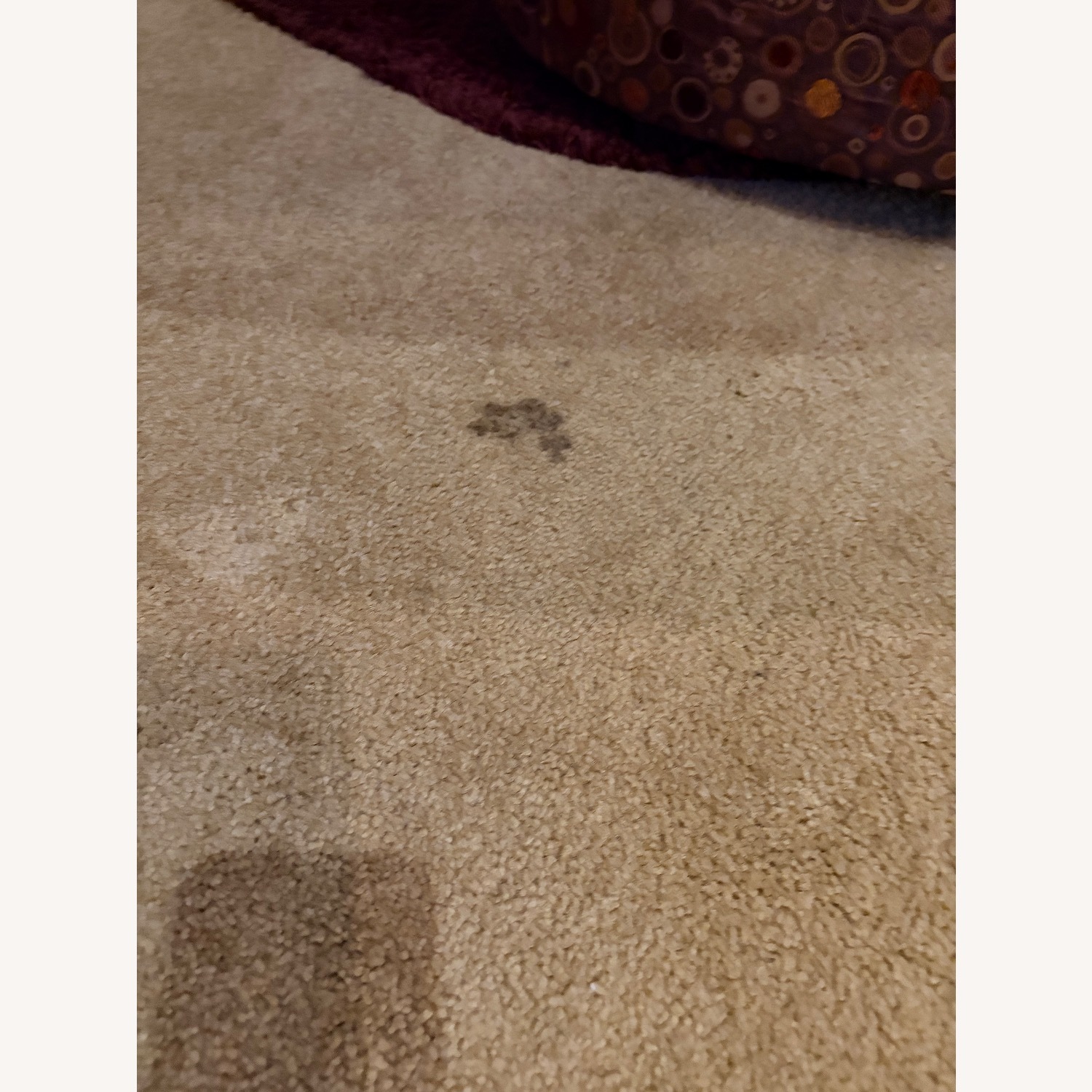 Custom Area Rug  - image-4