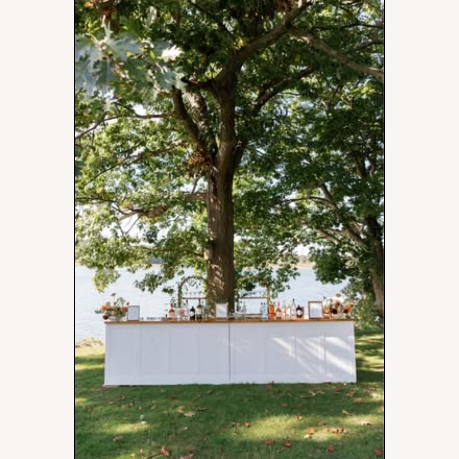 White Wooden Outdoor Bars - image-1