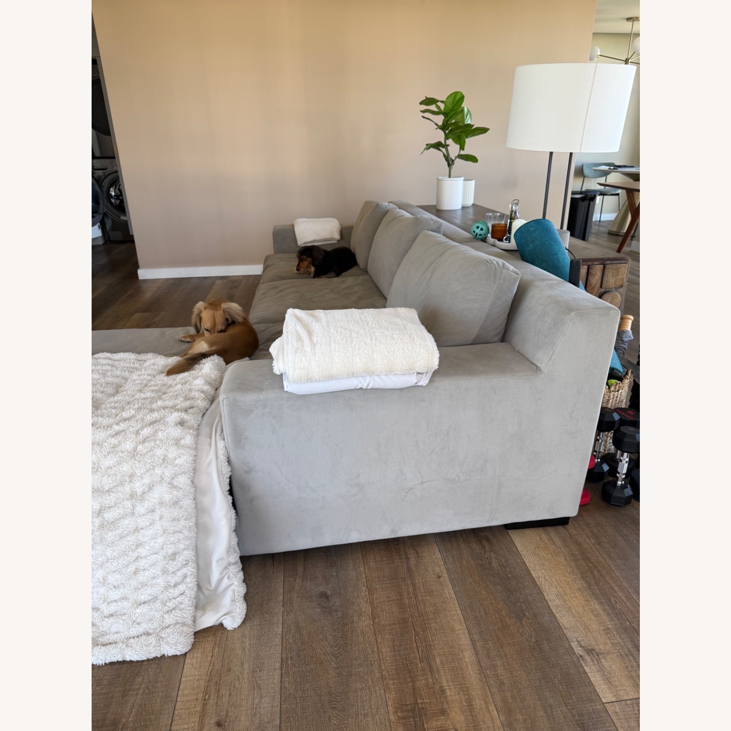 West Elm Dalton 2-Piece Chaise Sectional 121” - image-4