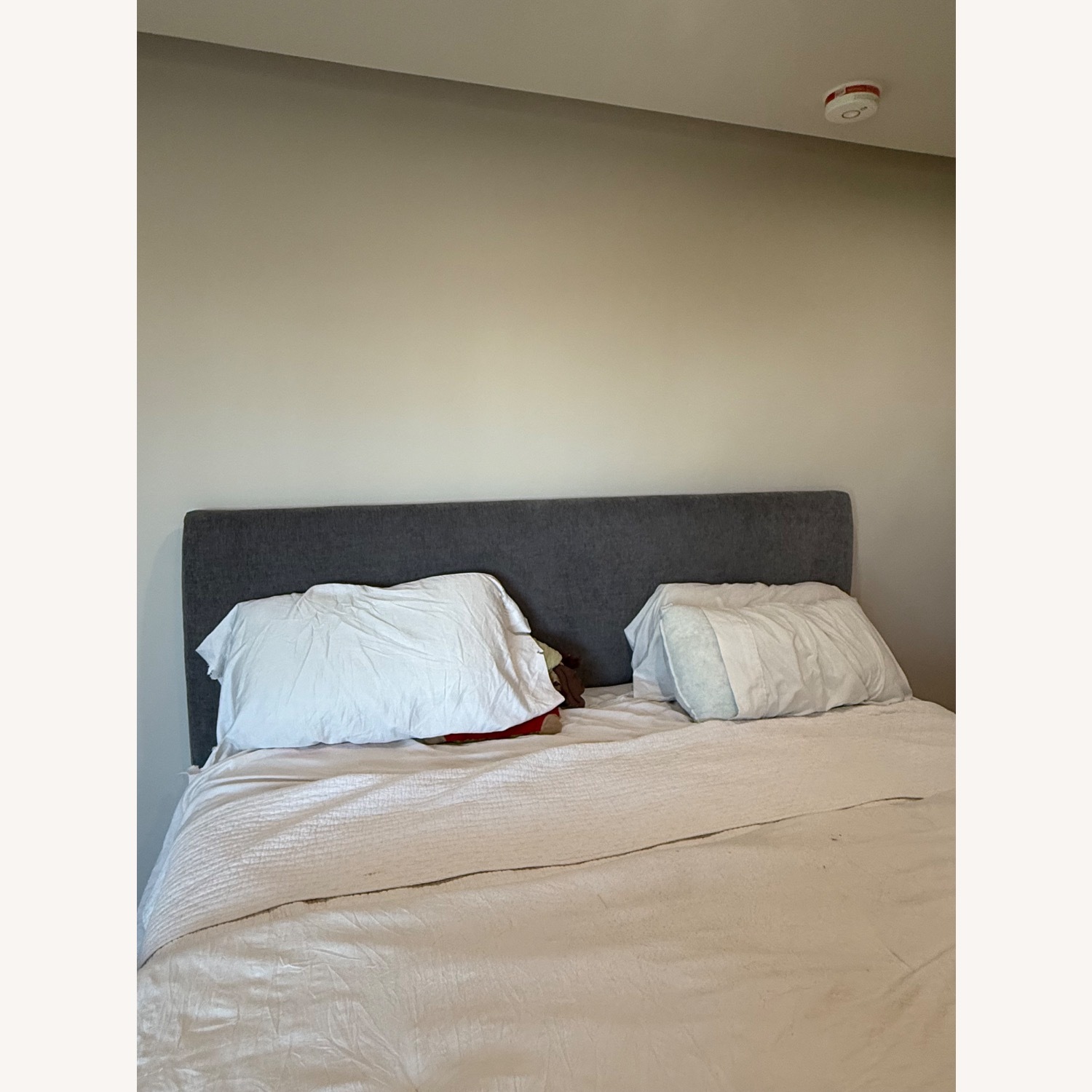 West Elm Light Gray Velvet King Bed - image-4