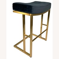 Bernadetta 26" Counter Height Brass Stainless Steel BarstoolS