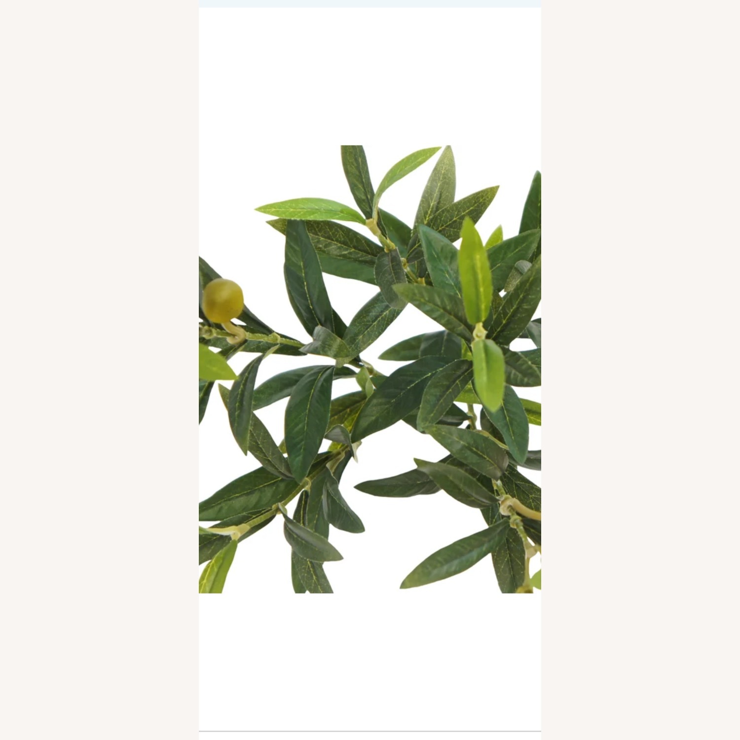 Cgh Décor Faux 6’5 ft Olive Tree  - image-4