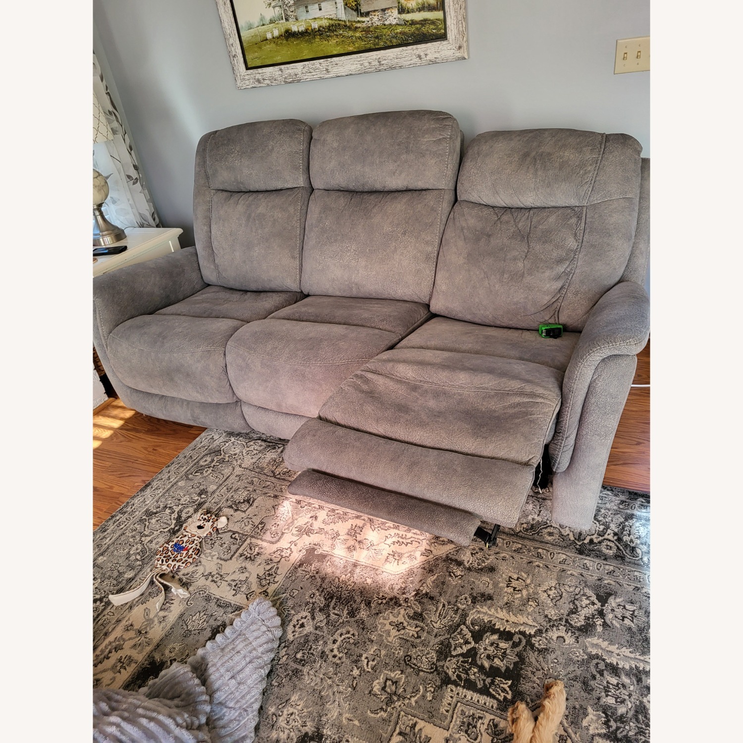 Gray Sofa  - image-1