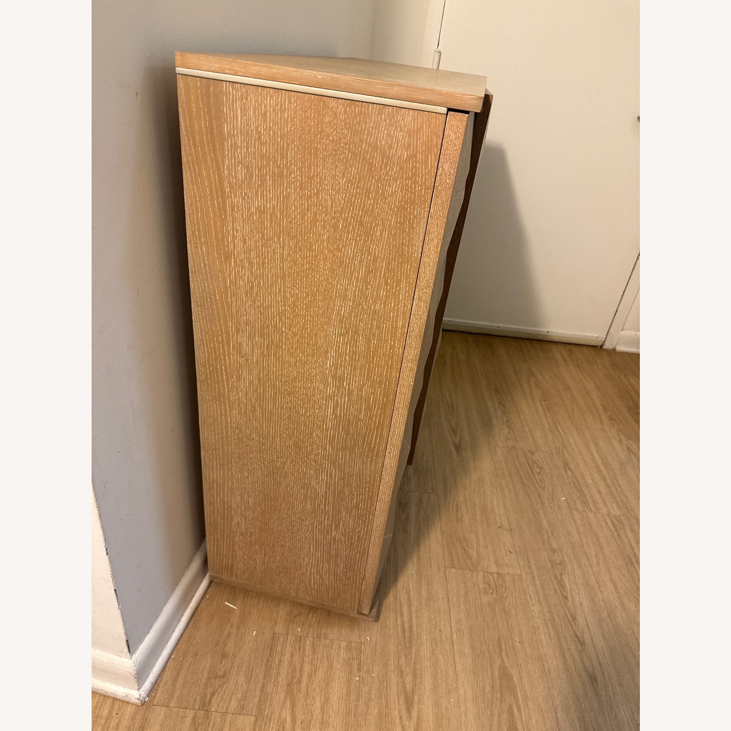 Crate & Barrel Outline Storage Entryway Cabinet - image-3