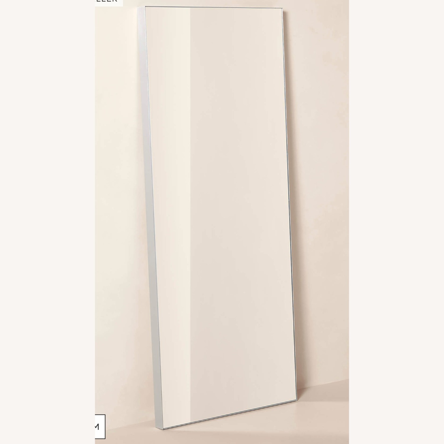 Crate & Barrel Silver Metal Floor Mirror - image-3
