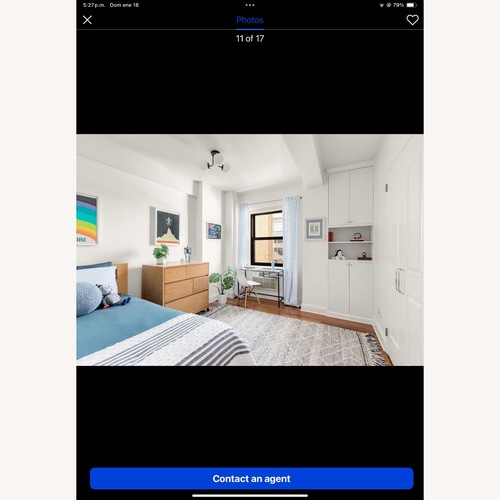 Used Pottery Barn Teen Natural Wood Twin Bed for sale on AptDeco