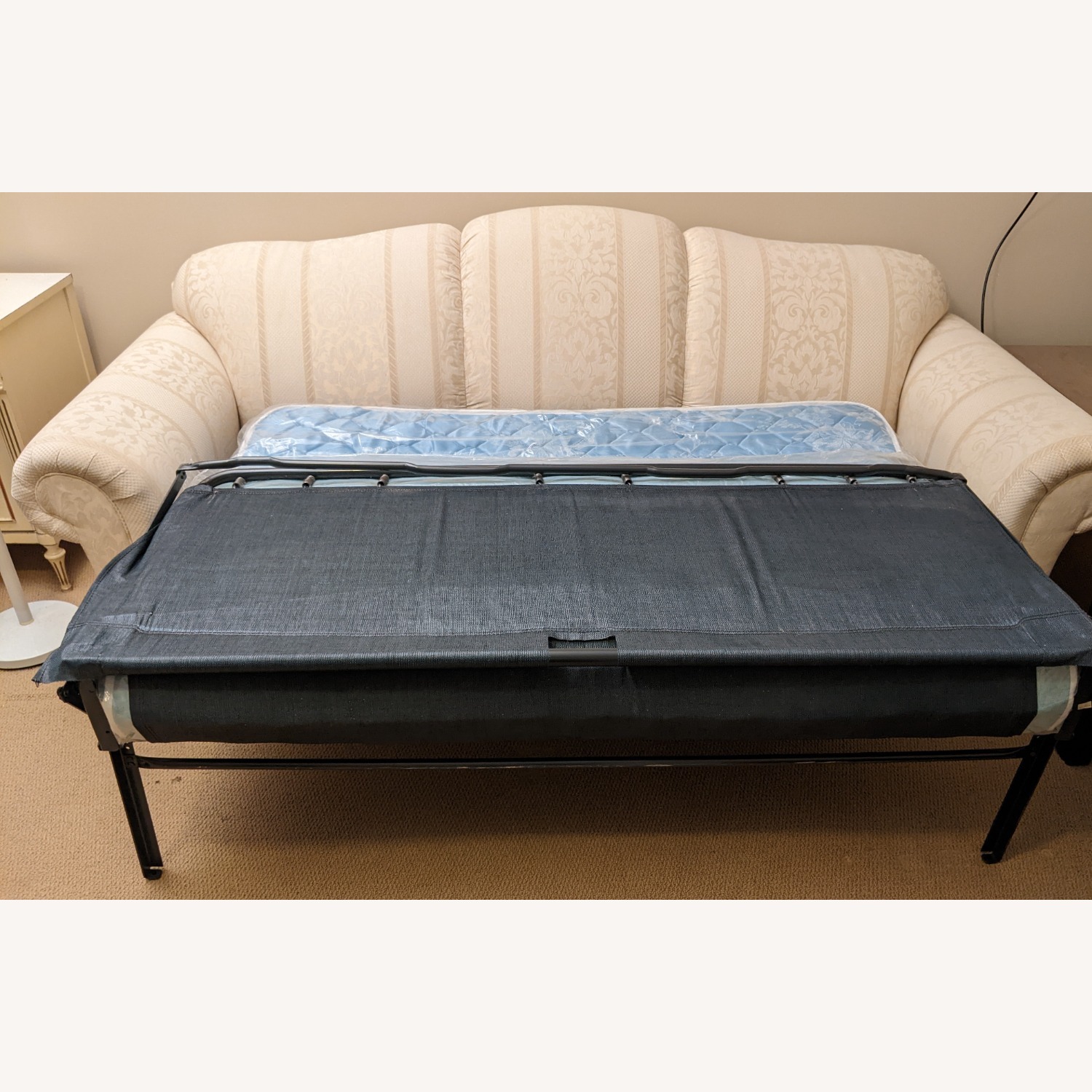 Vintage/Antique Finds Sleeper Sofa - image-4