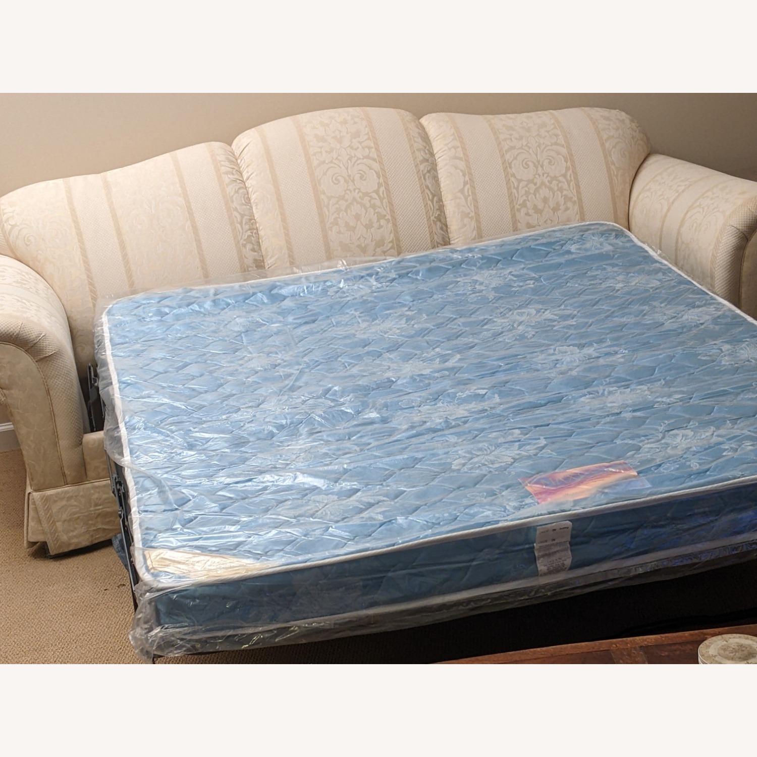 Vintage/Antique Finds Sleeper Sofa - image-5