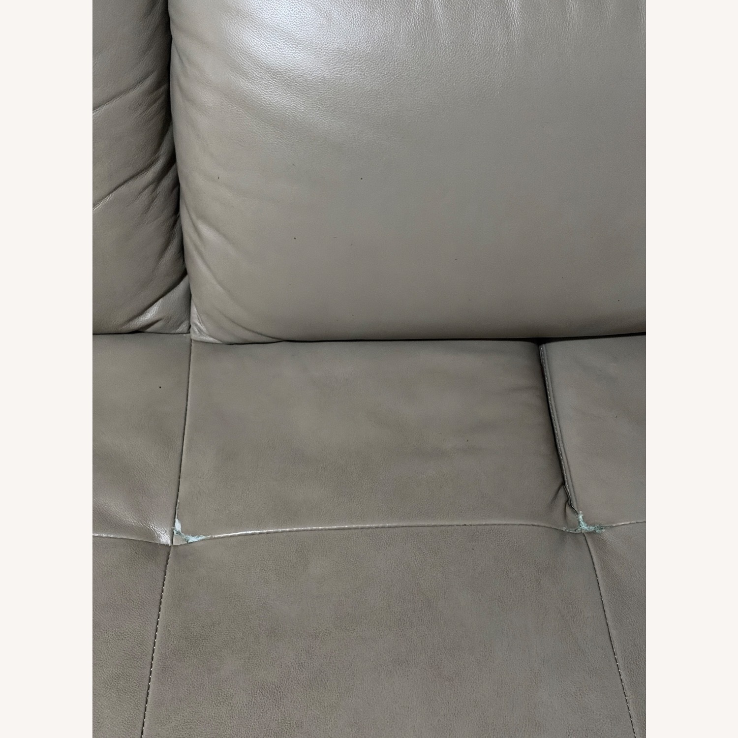 Natural Leather 2 Piece Sectional - image-4
