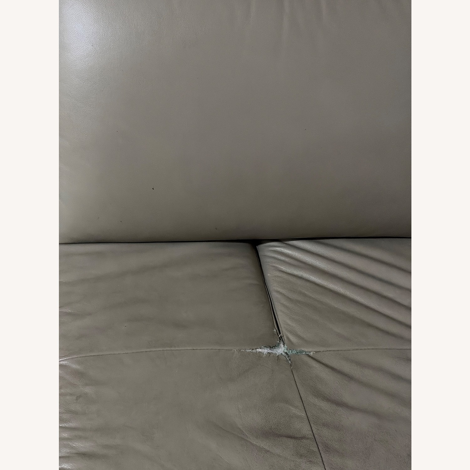 Natural Leather 2 Piece Sectional - image-5