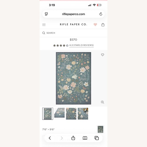 Used Area Rug 8' x 10' for sale on AptDeco