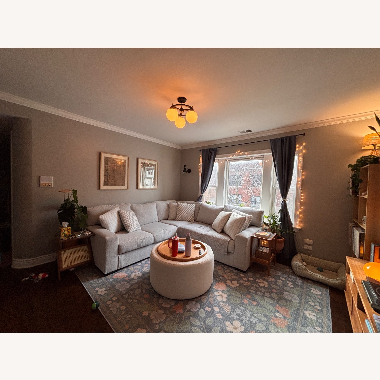 Area Rug 8' x 10' - image-2