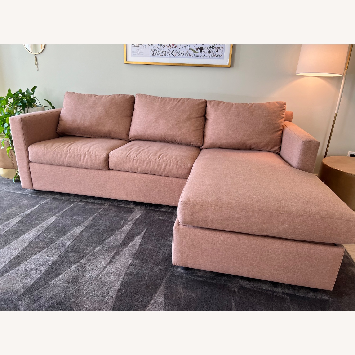 Crate & Barrel Barrett II Queen Sleeper Sofa Rose - image-1