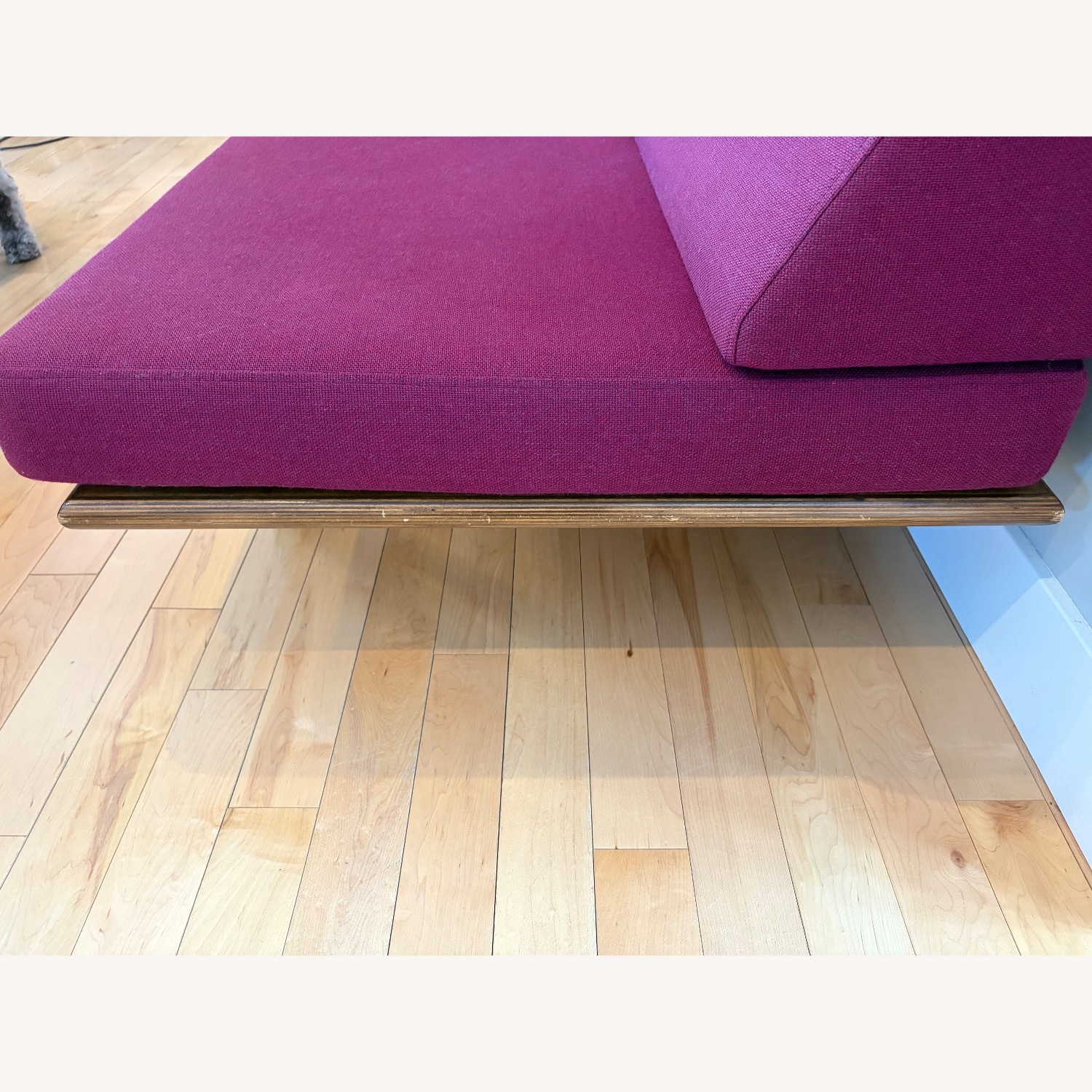 Modernica Case Study Magenta Day Bed Sofa  - image-5