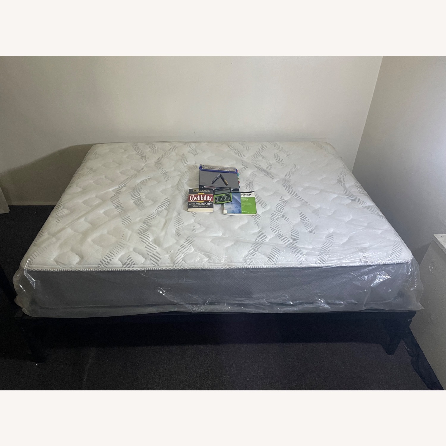 Black Metal Queen Bed - image-2