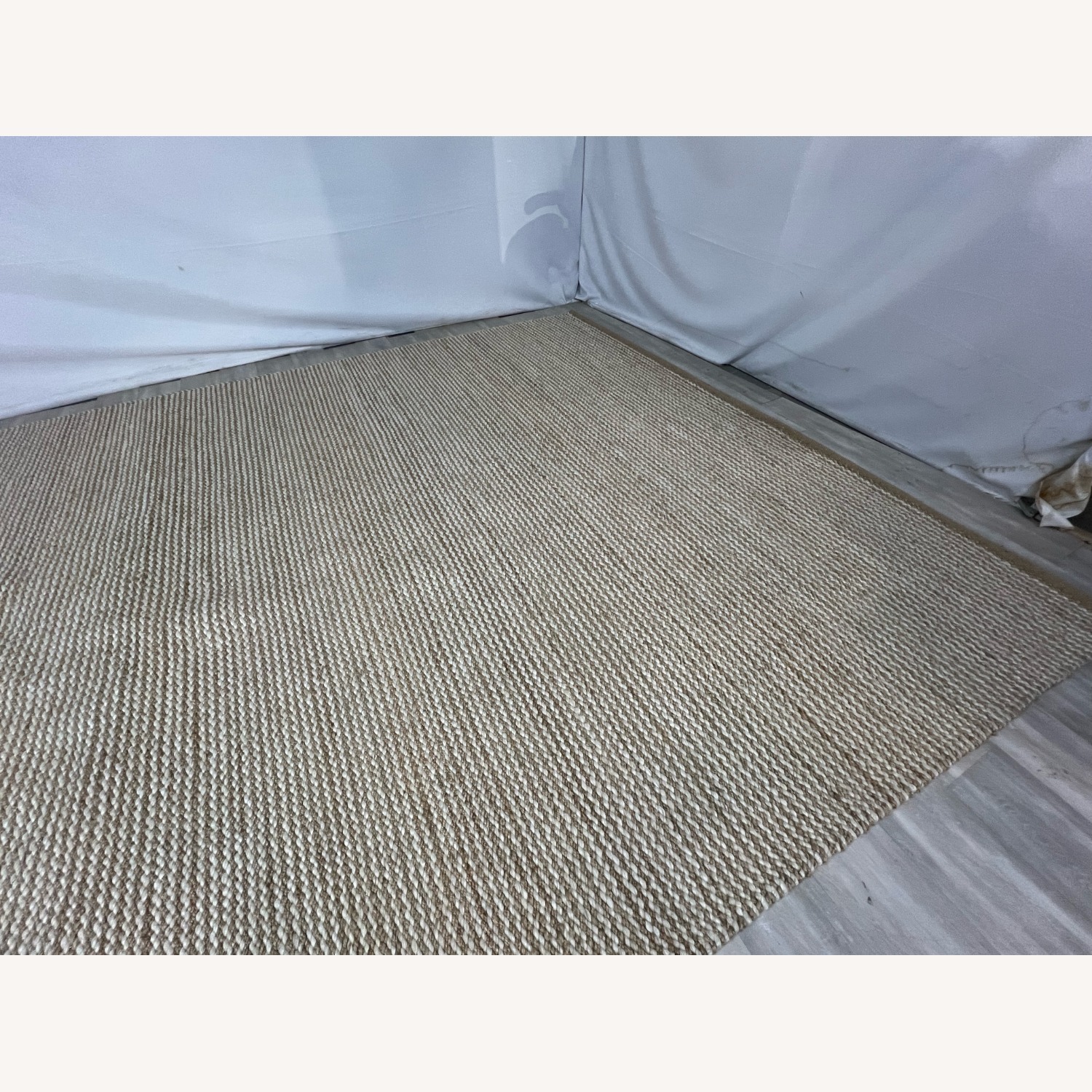 Denver Modern Armadillo Drift Rug - image-1