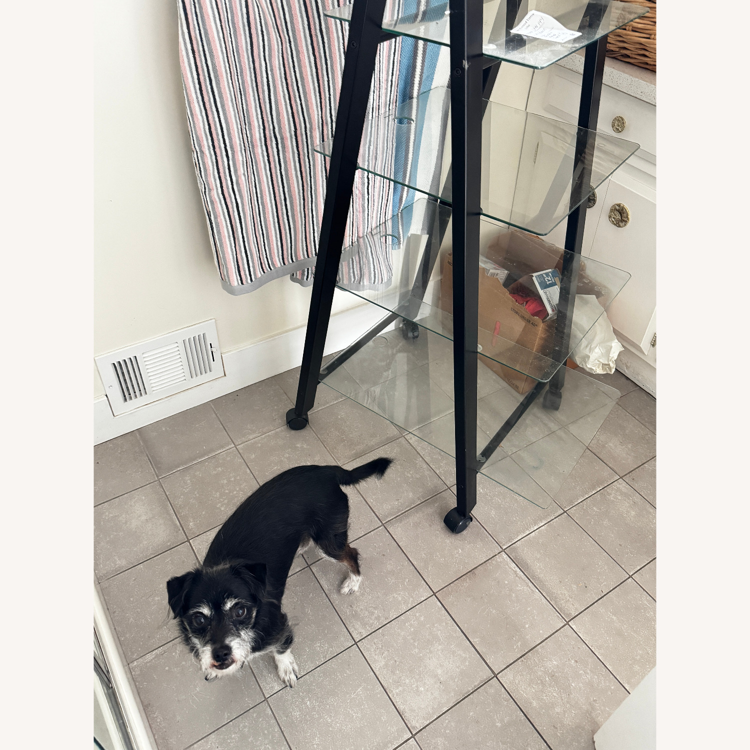 Black Metal and Glass Shelves With Wheels - image-2