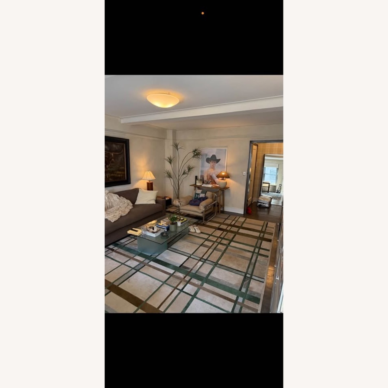 Light Gray Fur and Hide Area Rug 12' x 14' - image-4