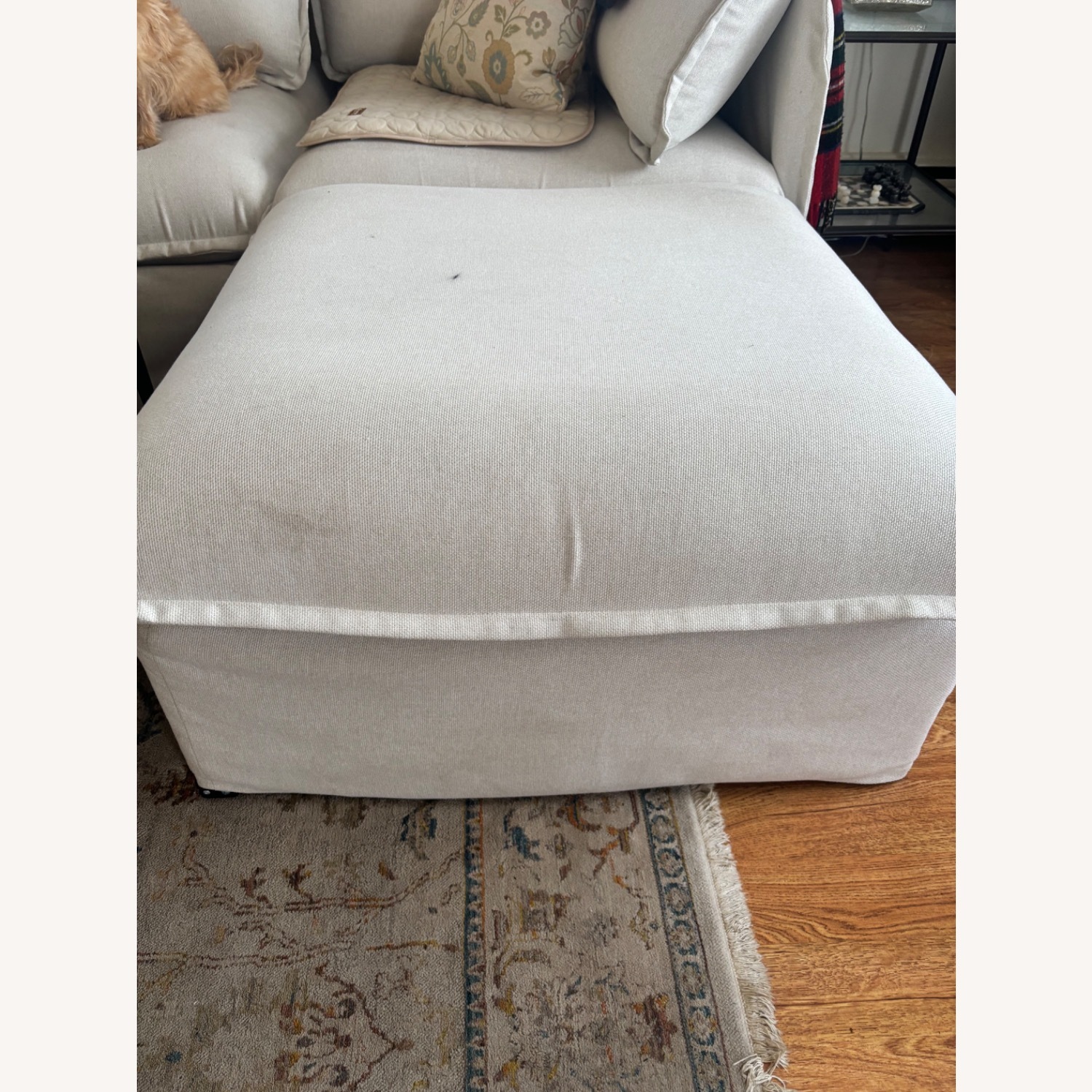 Anabei 3+ Piece Sectional Sofa - image-9