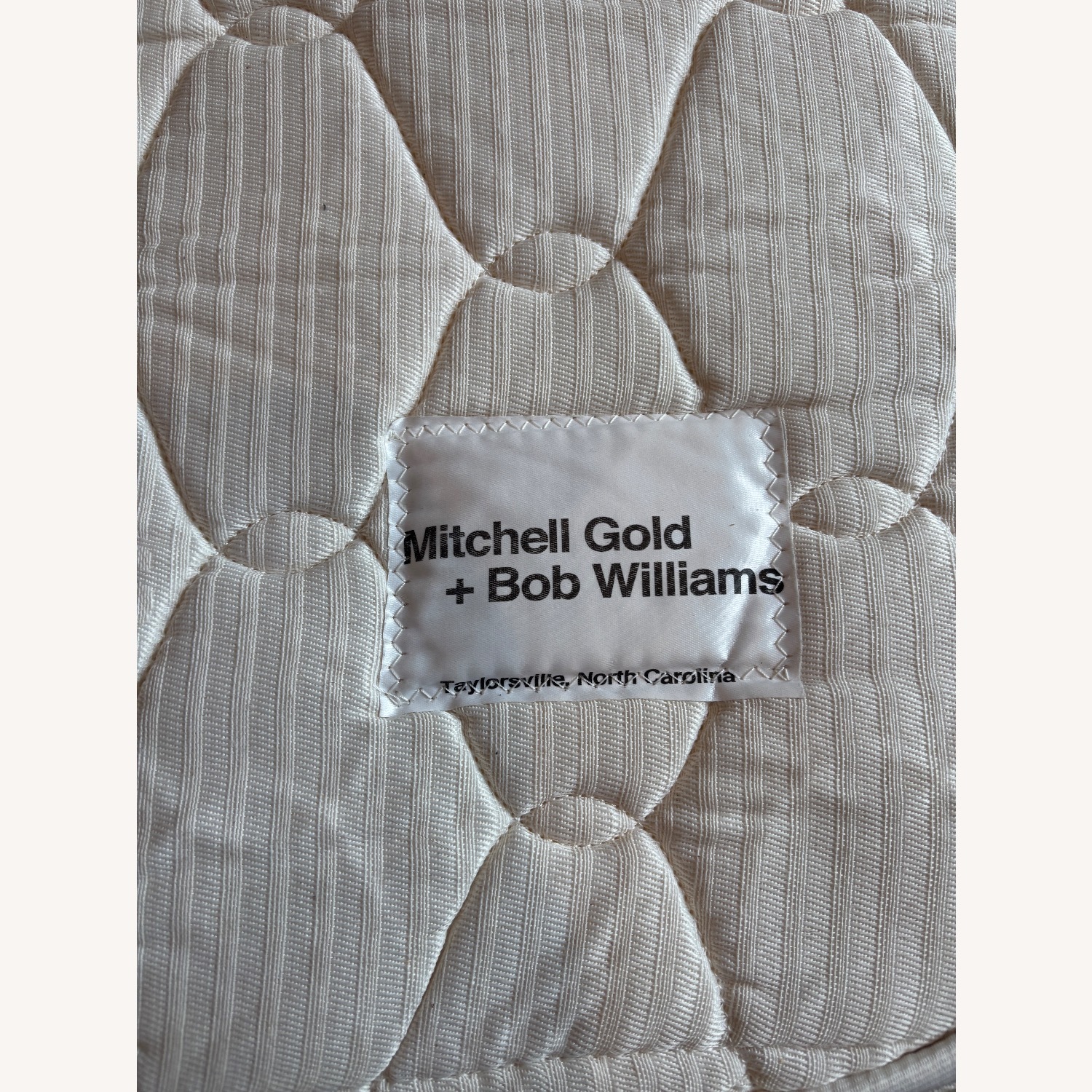 Mitchell Gold + Bob Williams Pull Out Sofa  - image-6