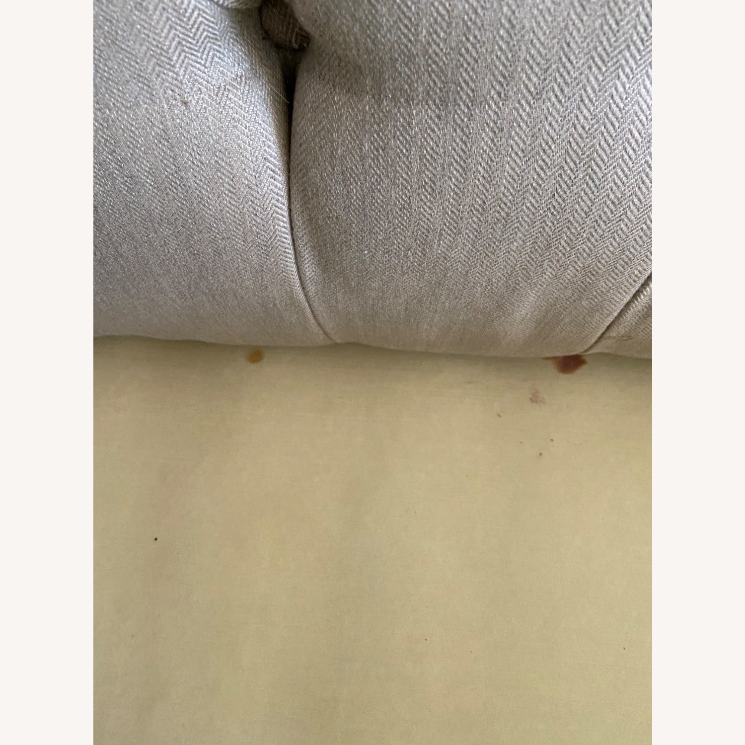 Elegant Couch - image-4