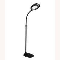 Black Floor Lamp