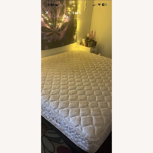 Used White Queen Size Bed for sale on AptDeco